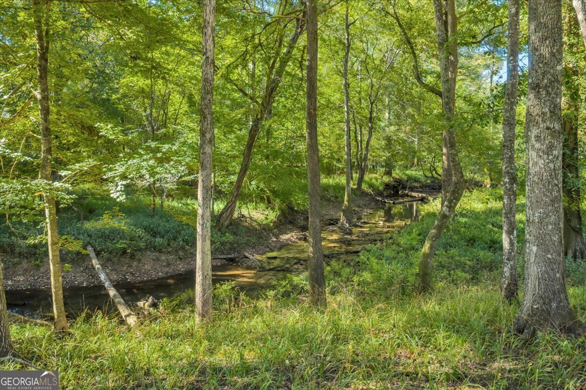 81 Peach Blossom Road Pineview - 49