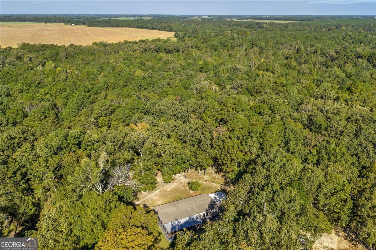 81 Peach Blossom Road Pineview - 52