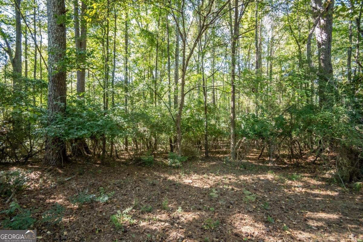 119 Spring Lake Drive Athens - 32