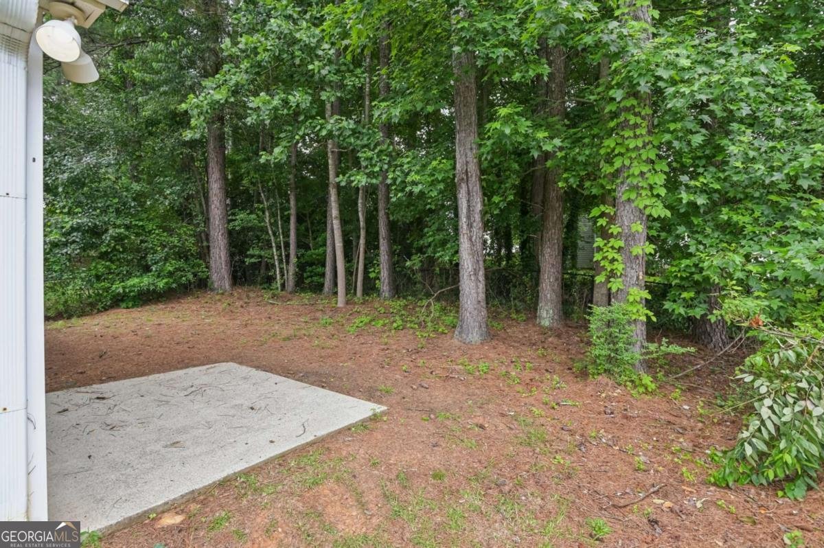 1528 Wembley Drive Douglasville - 26