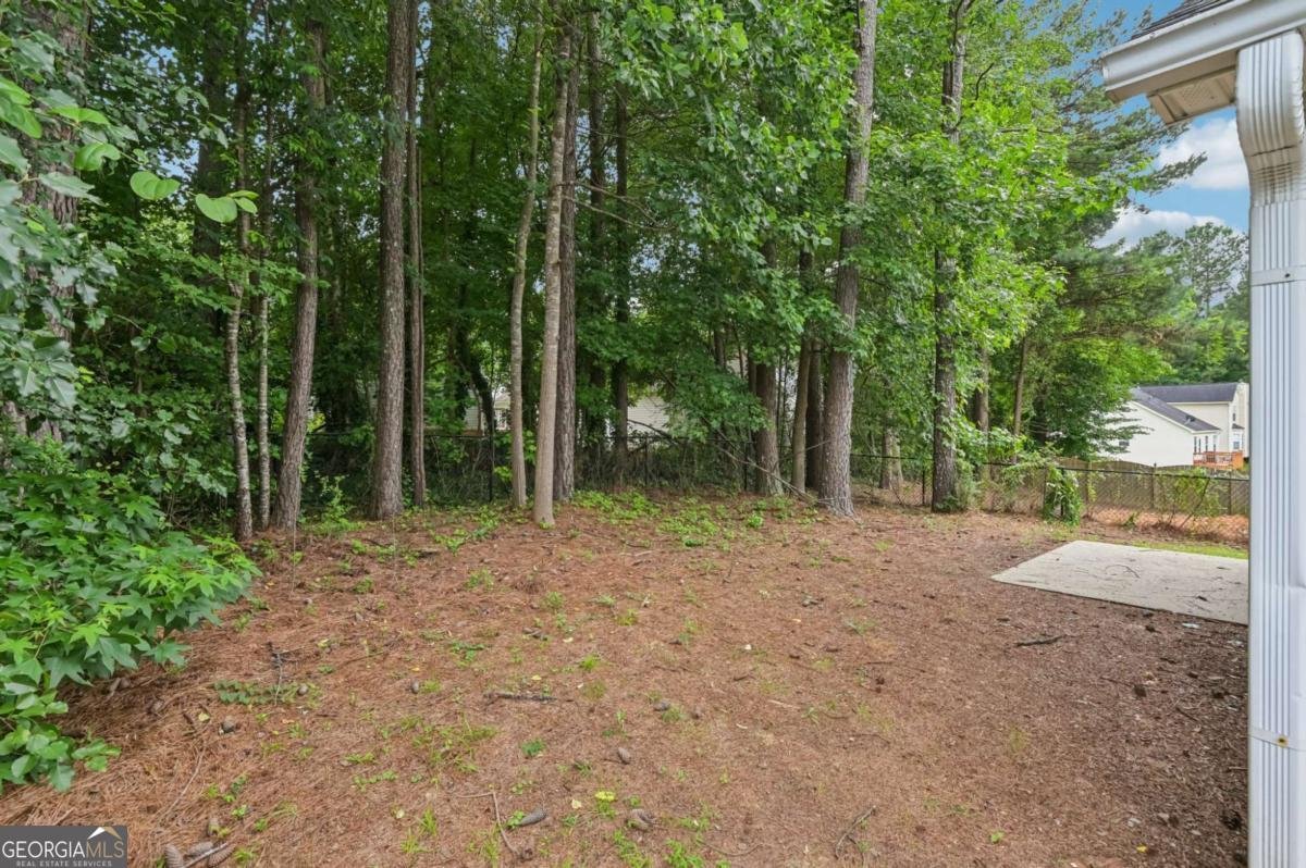 1528 Wembley Drive Douglasville - 27