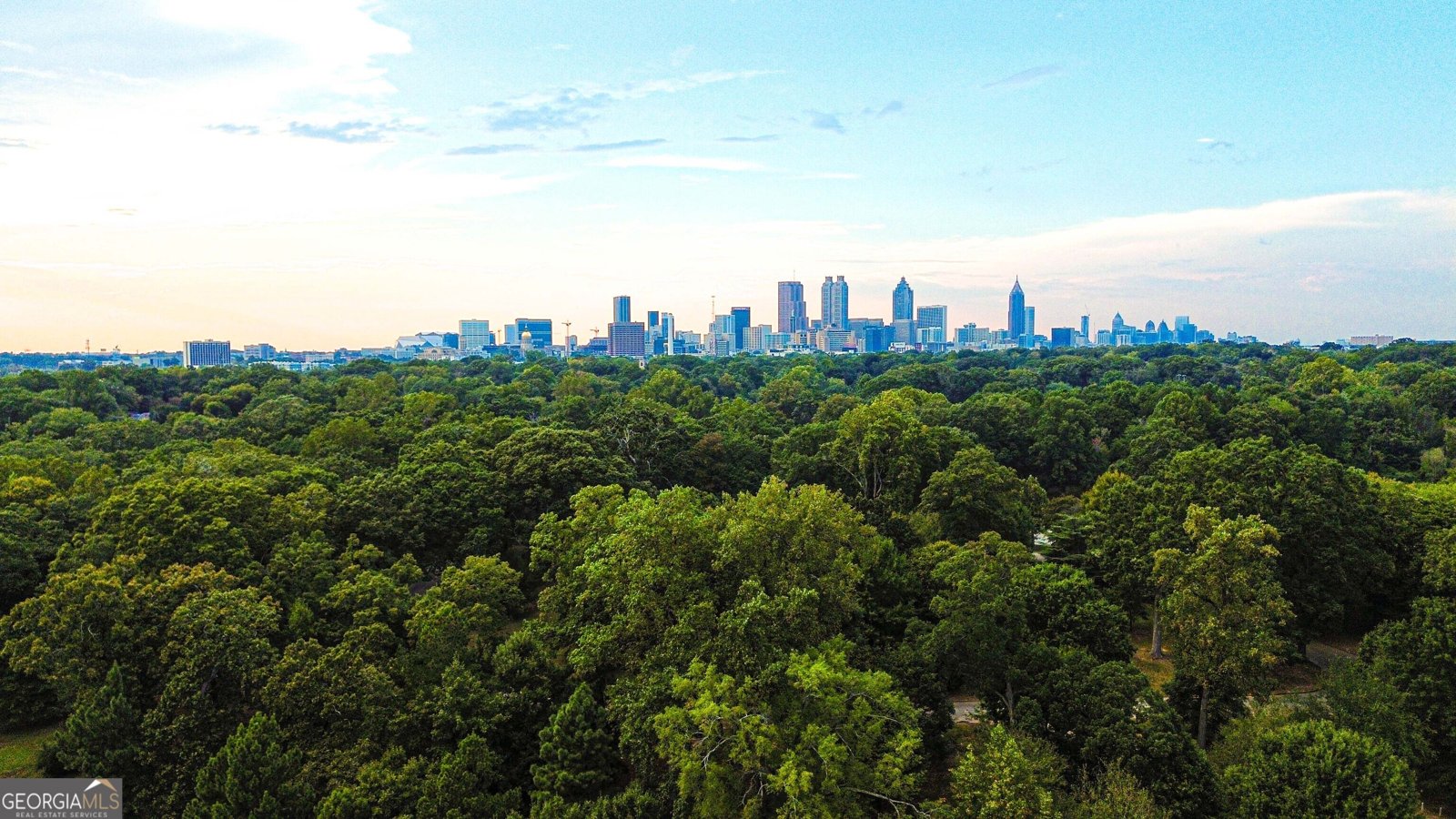 1940 Detroit Avenue Atlanta - 66