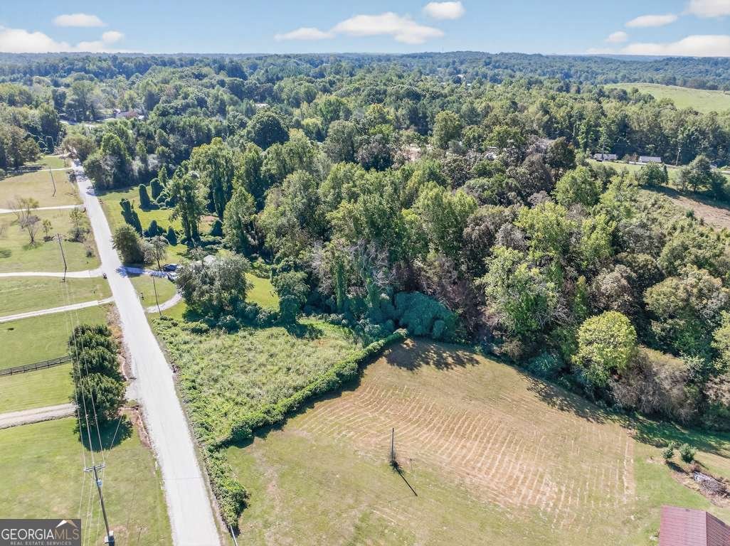 4246 JIM HOOD Road Gainesville - 8