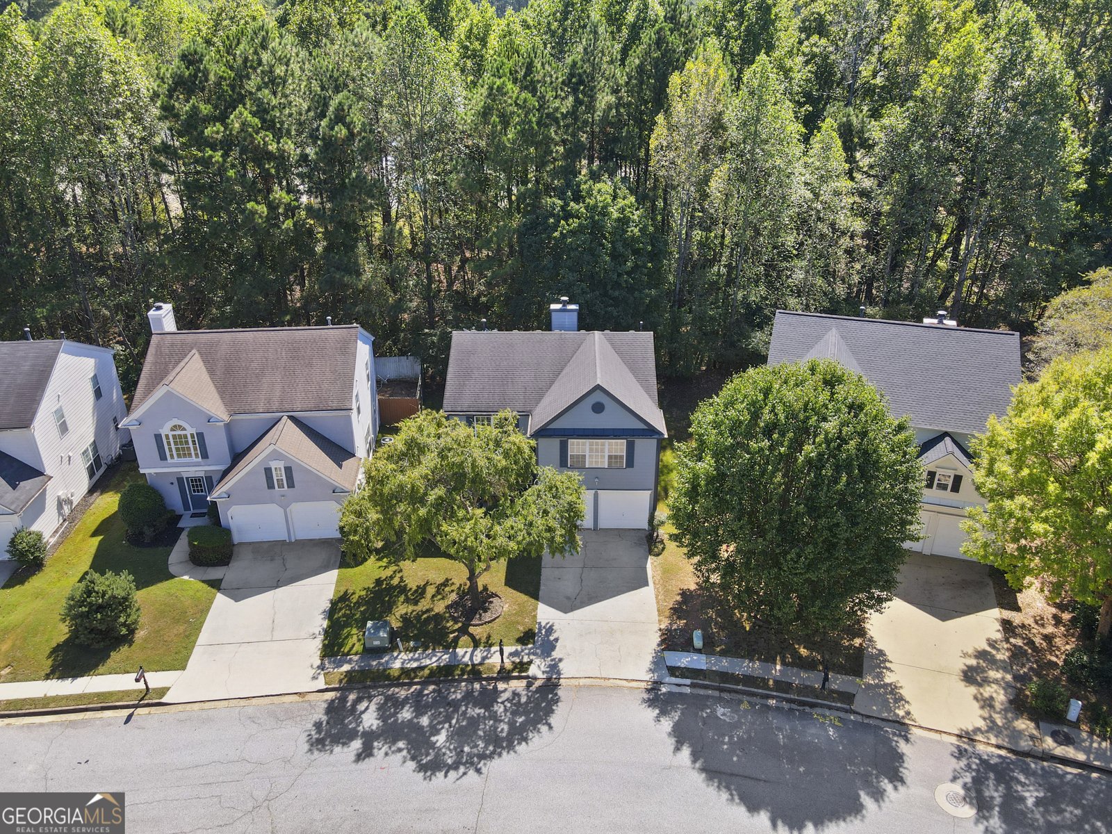 3412 Davenport Park Lane Duluth - 44