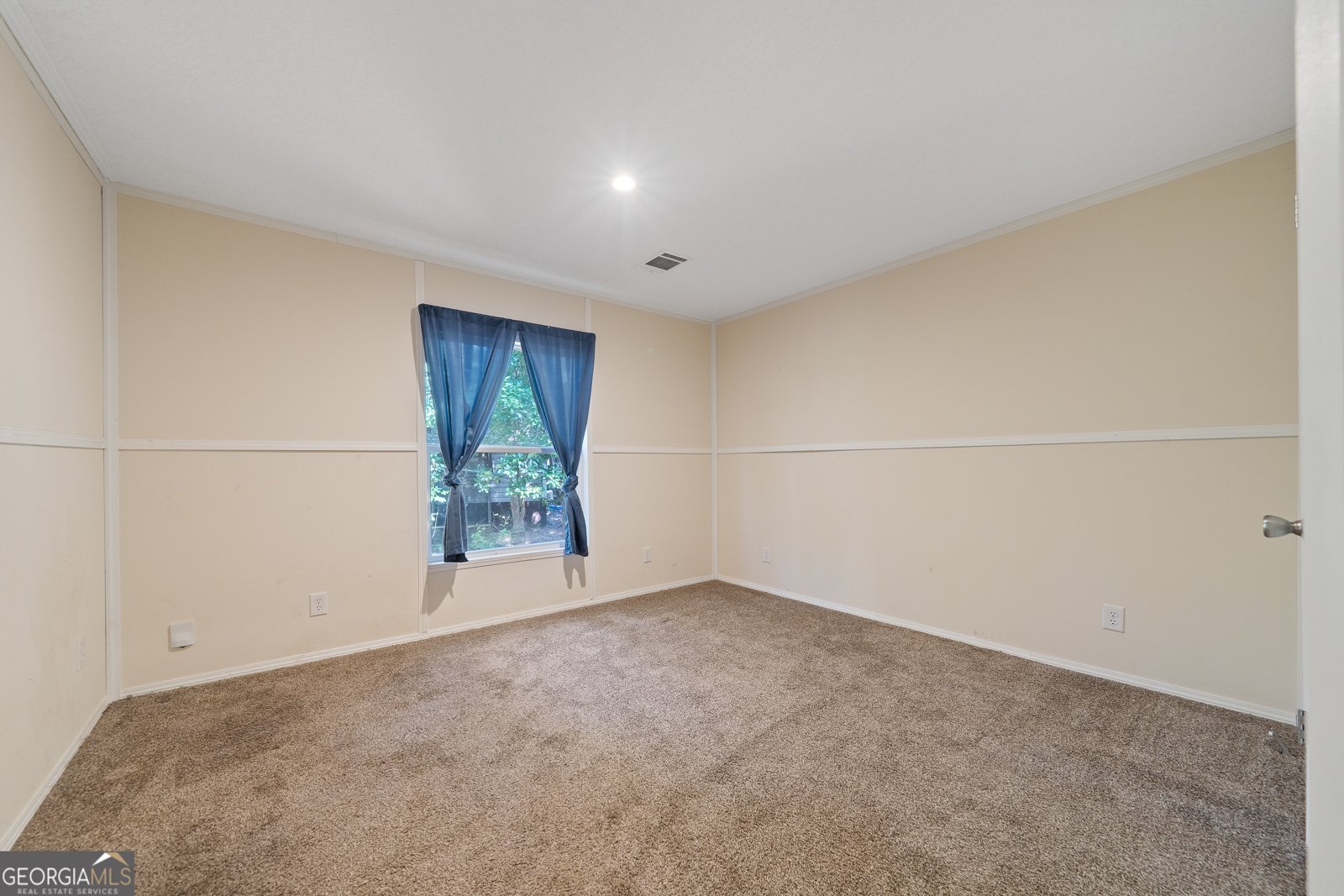 280 Lakeview Drive Locust Grove - 13