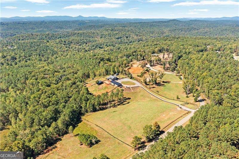 3547 Reavis Mountain Road Ball Ground - 1