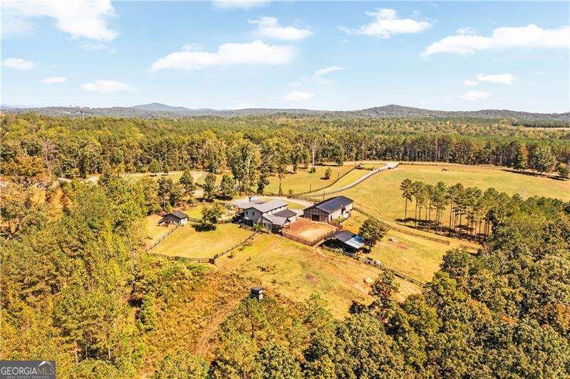 3547 Reavis Mountain Road Ball Ground - 2