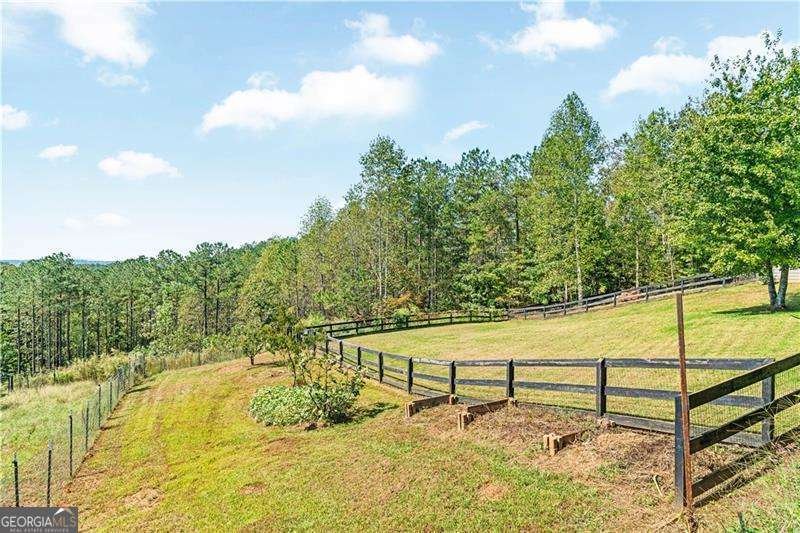 3547 Reavis Mountain Road Ball Ground - 39