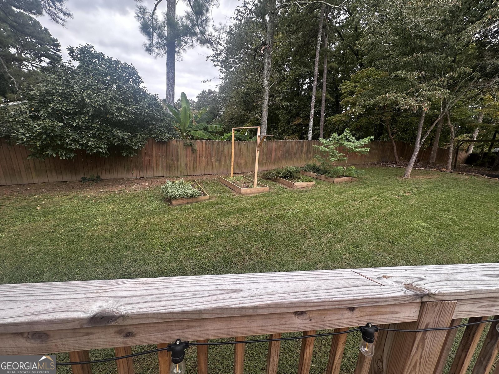 2897 Antonia Place Kennesaw - 3