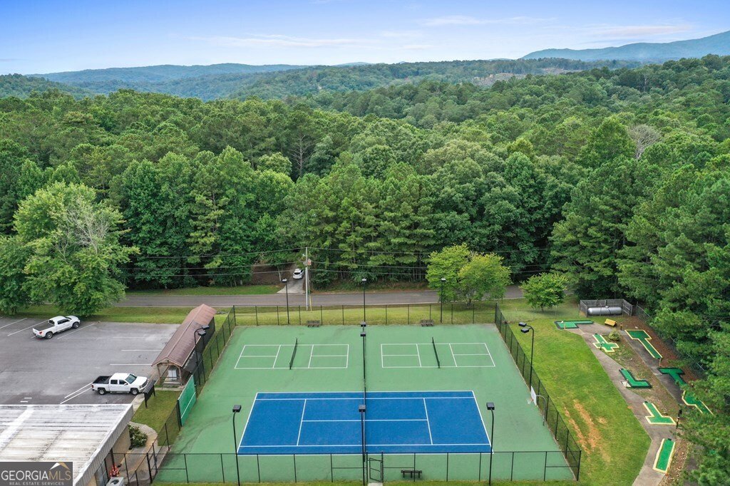 96 Holiday Court Ellijay - 44