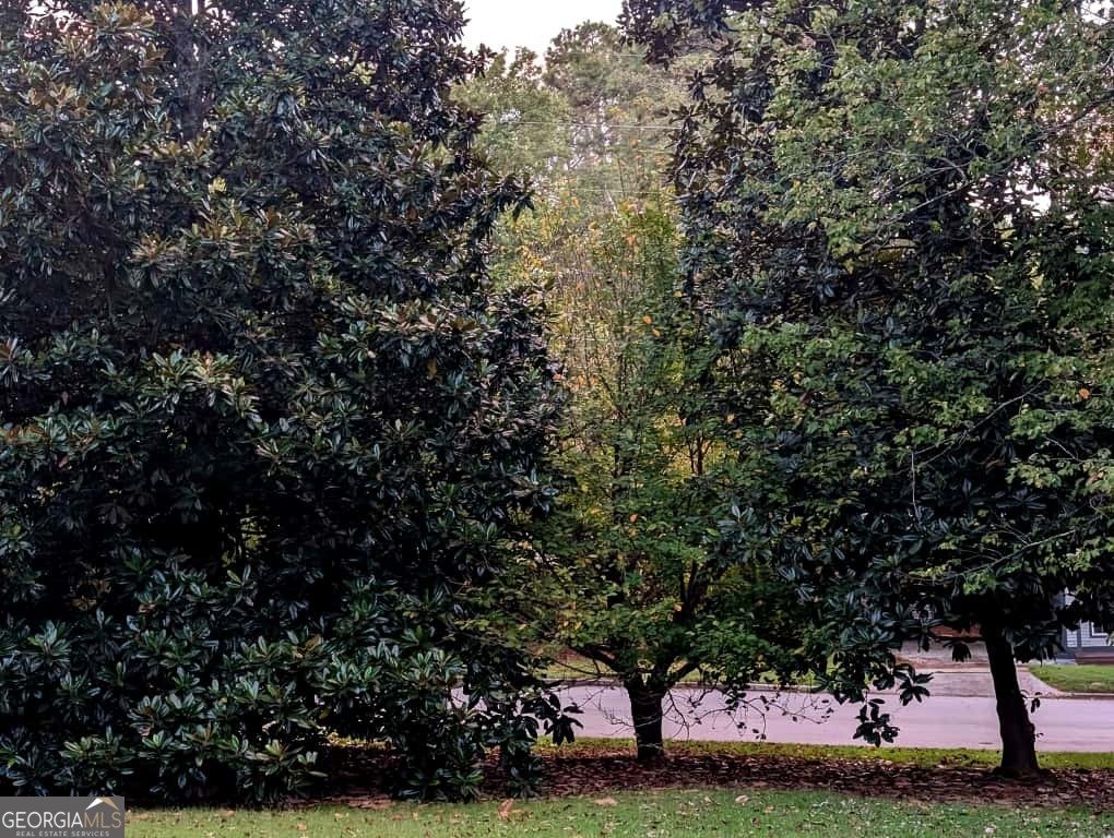 3184 Newcastle Way Snellville - 12
