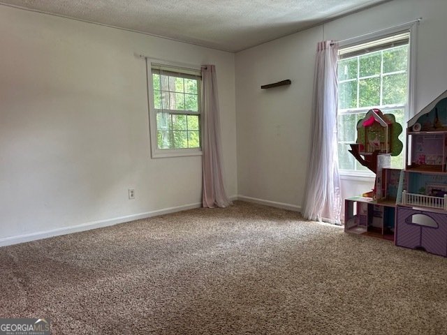 4020 Willow Ridge Road Douglasville - 13