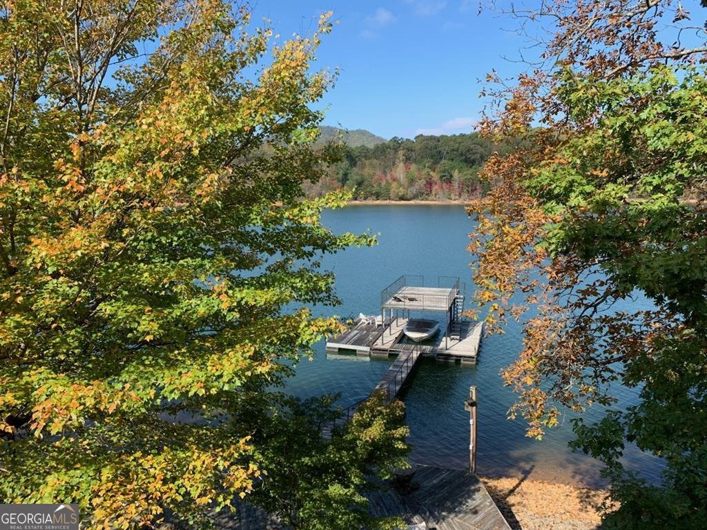 2515 Leisure Lane Young Harris - 12