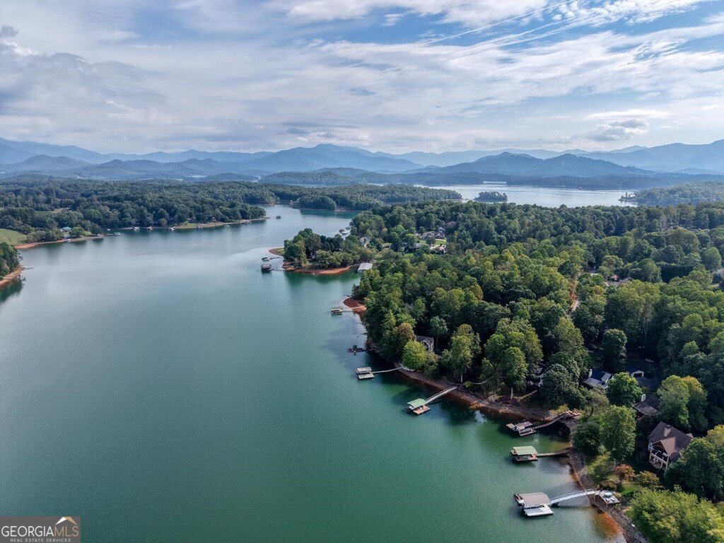 2515 Leisure Lane Young Harris - 14