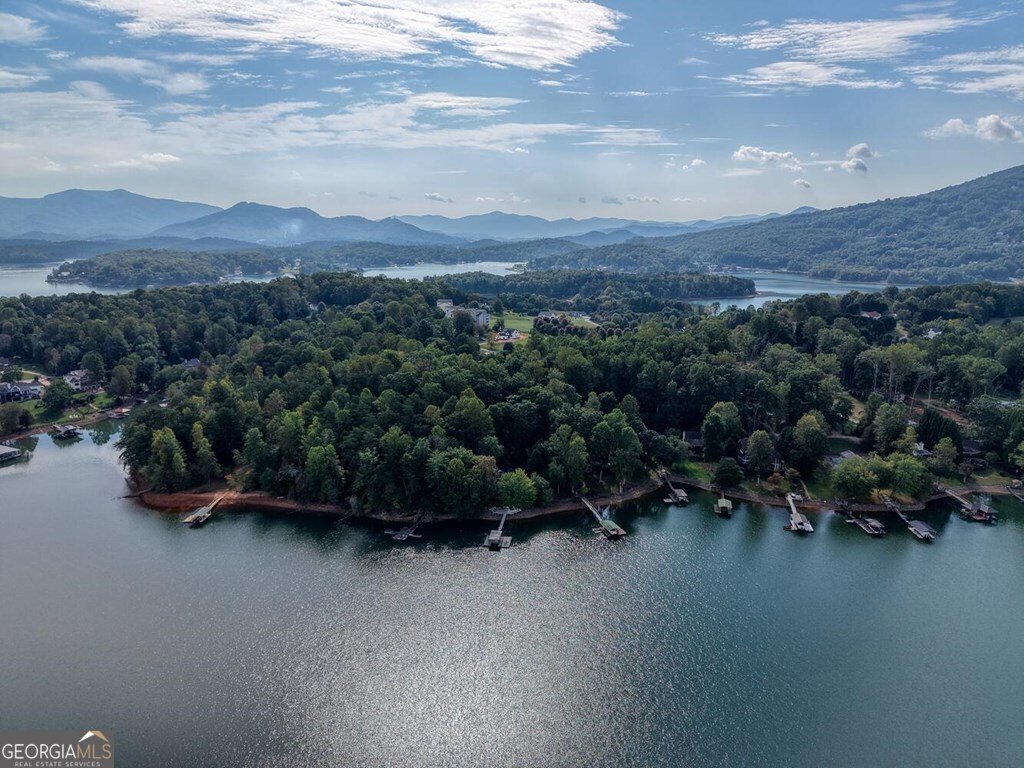 2515 Leisure Lane Young Harris - 15