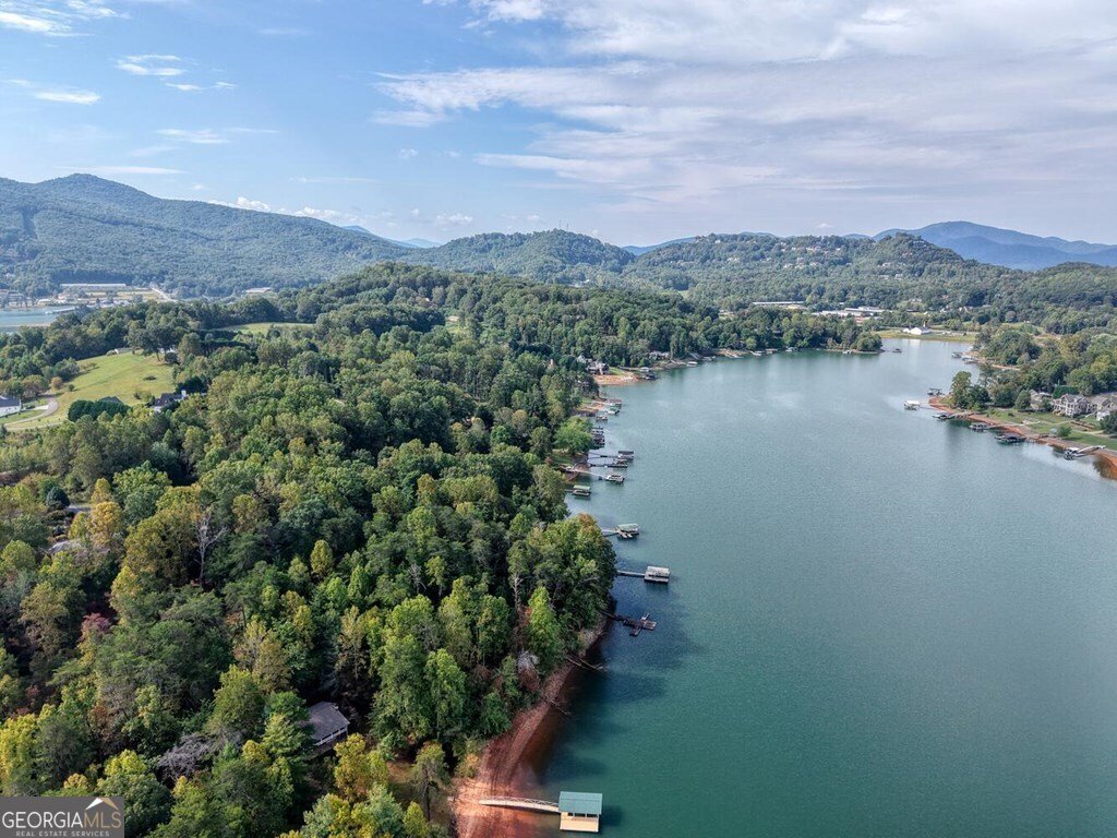 2515 Leisure Lane Young Harris - 17