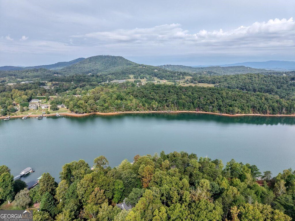 2515 Leisure Lane Young Harris - 18