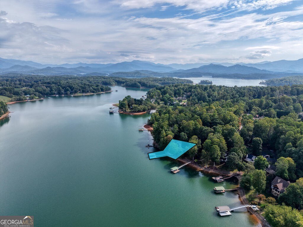 2515 Leisure Lane Young Harris - 19