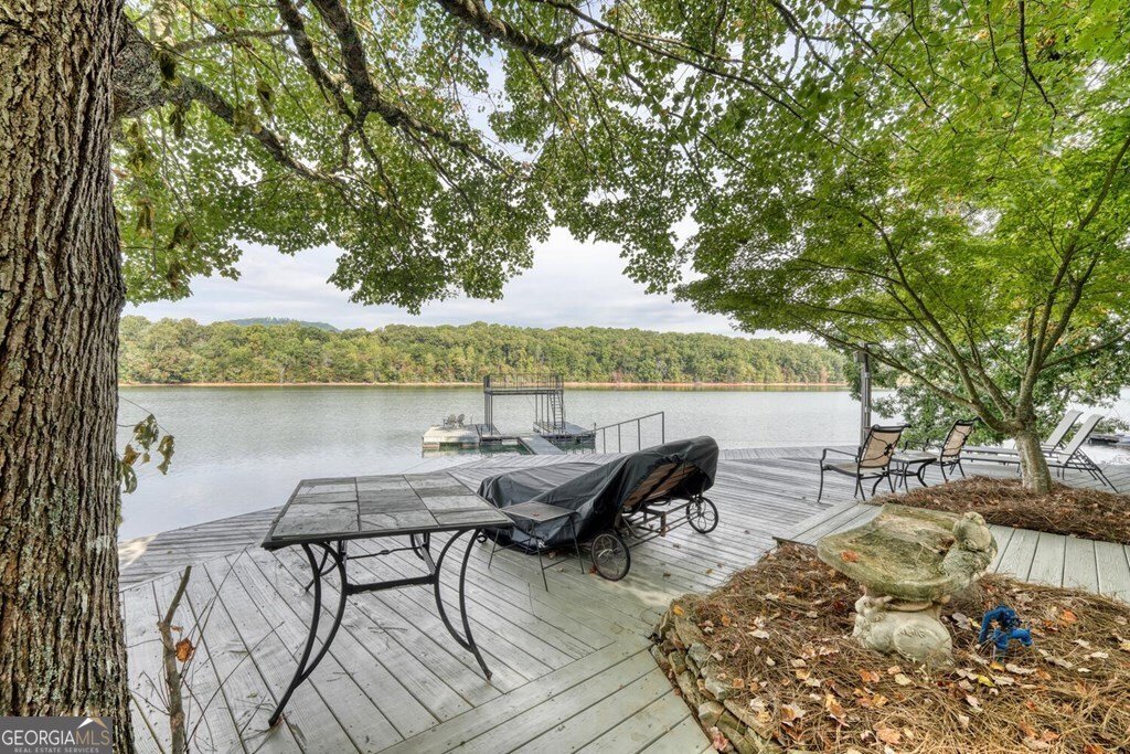 2515 Leisure Lane Young Harris - 35