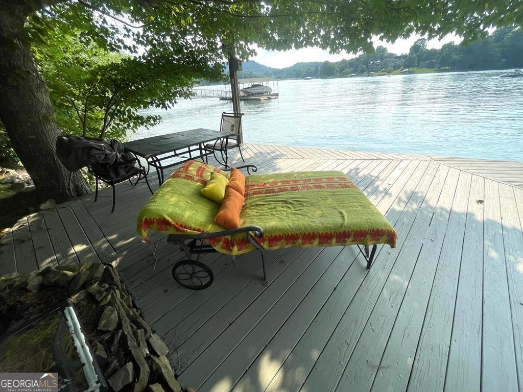 2515 Leisure Lane Young Harris - 36