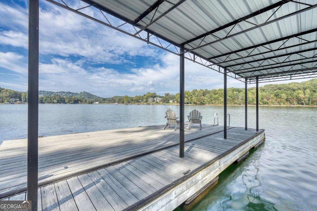 2515 Leisure Lane Young Harris - 4