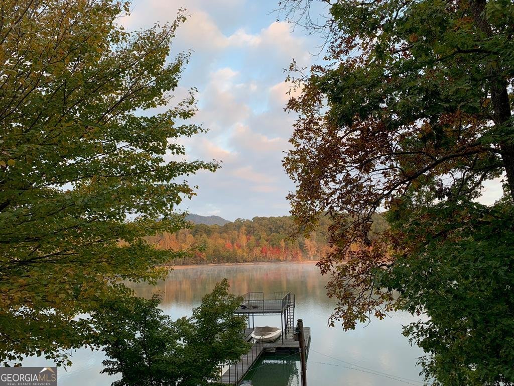 2515 Leisure Lane Young Harris - 51