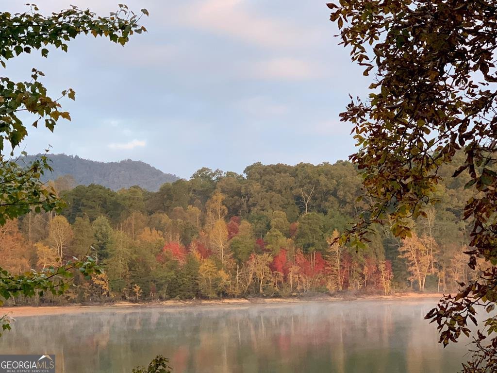 2515 Leisure Lane Young Harris - 53