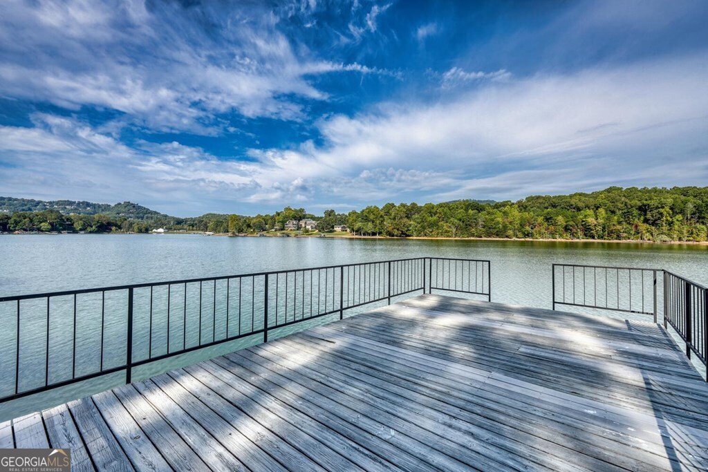 2515 Leisure Lane Young Harris - 6