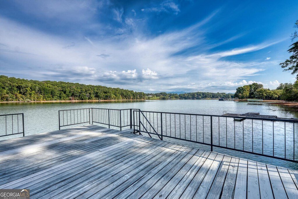 2515 Leisure Lane Young Harris - 8