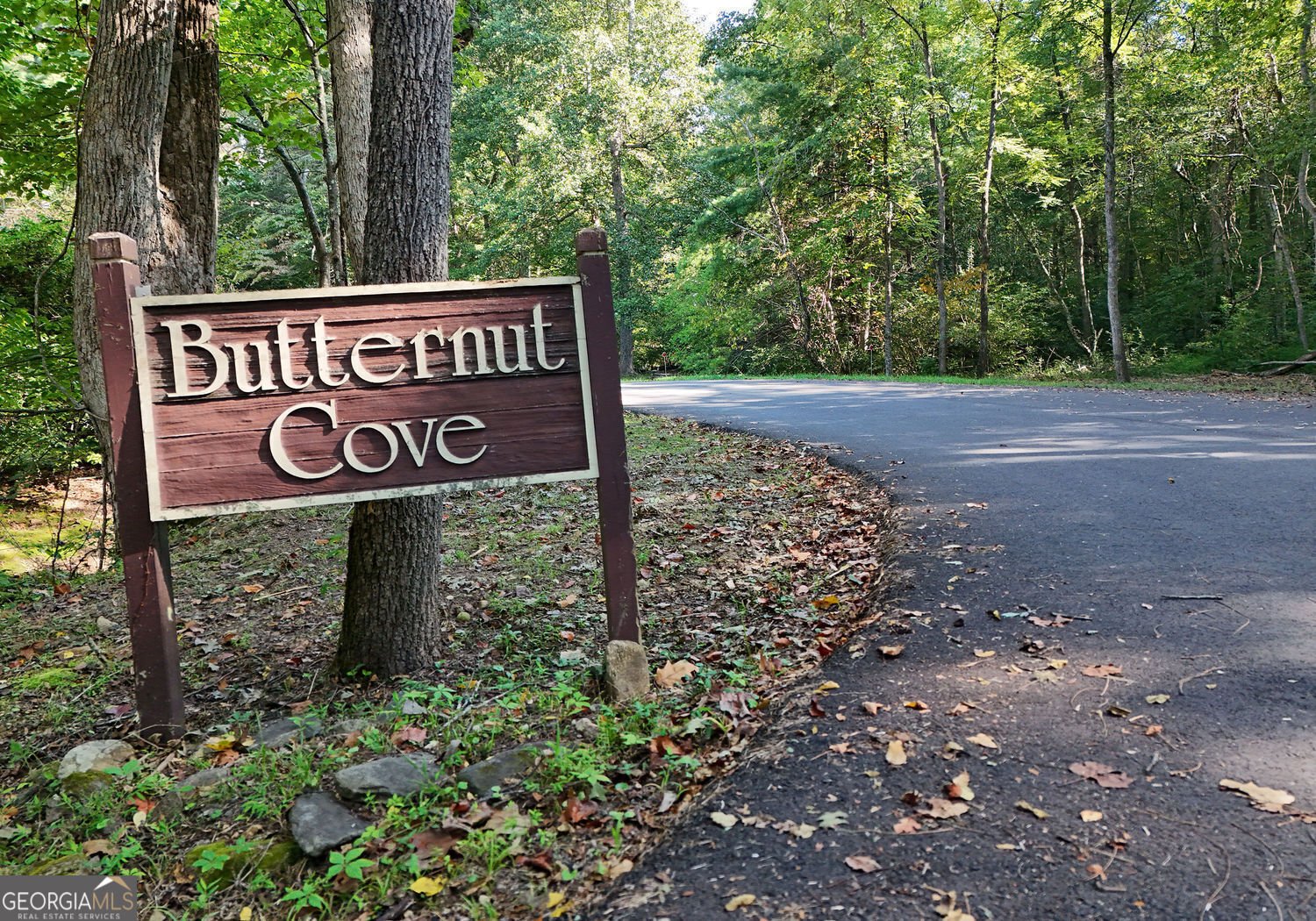 303 Butternut Creek Road Blairsville - 85