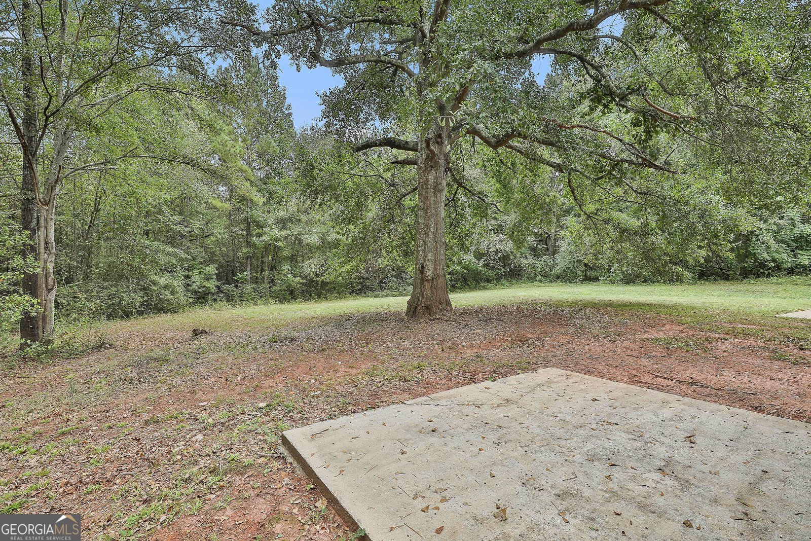 1606 McWilliams Barber Road Luthersville - 37