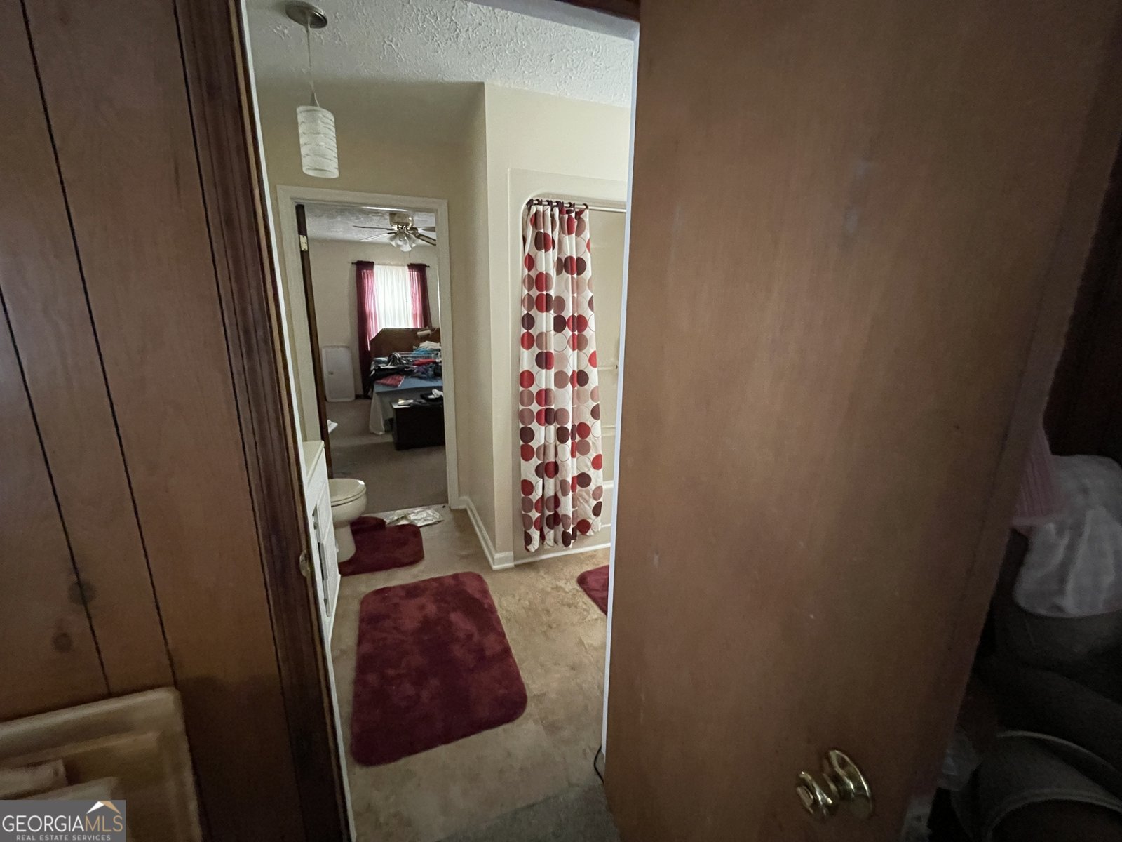 596 Ga Highway 257 Cochran - 26