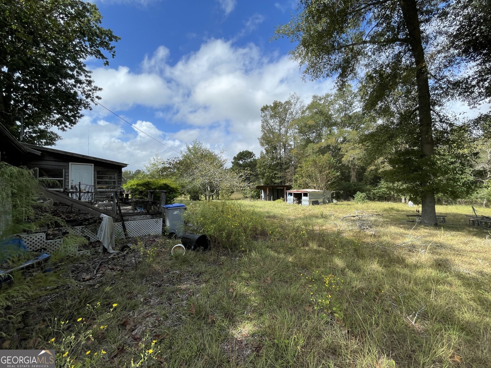 596 Ga Highway 257 Cochran - 32