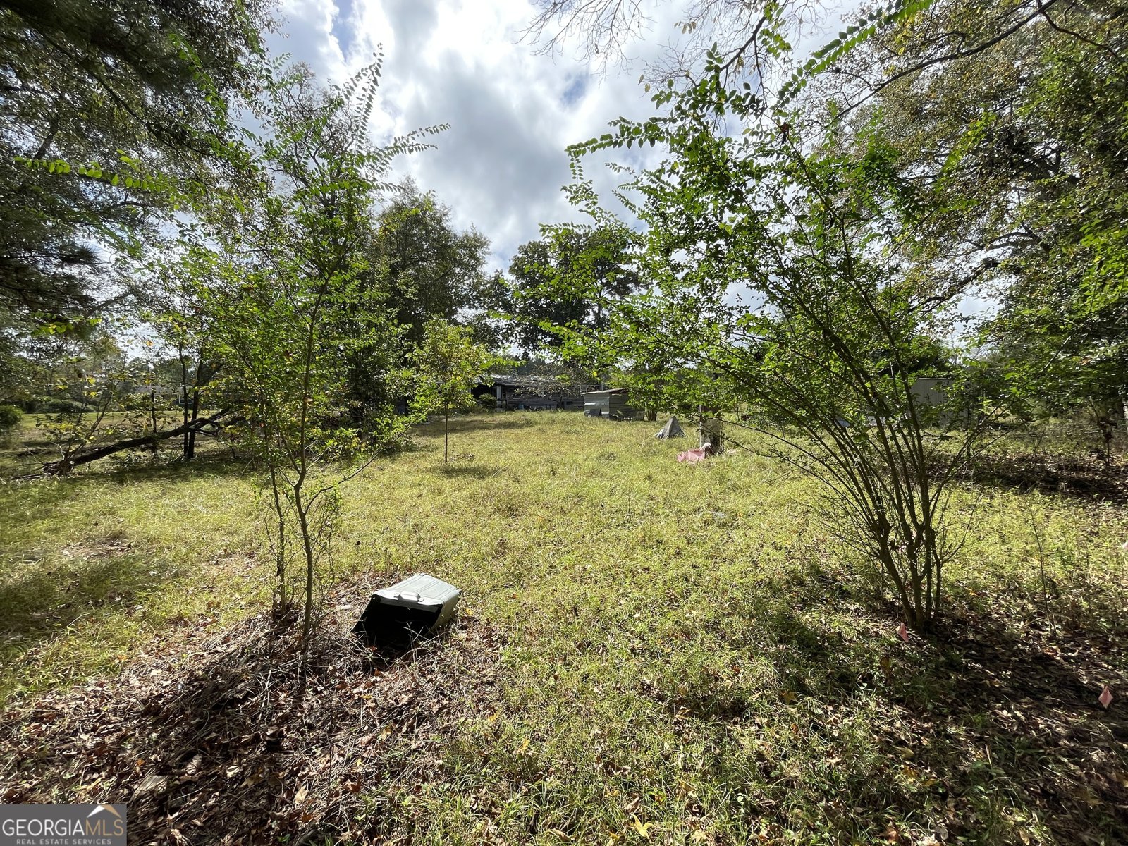 596 Ga Highway 257 Cochran - 33