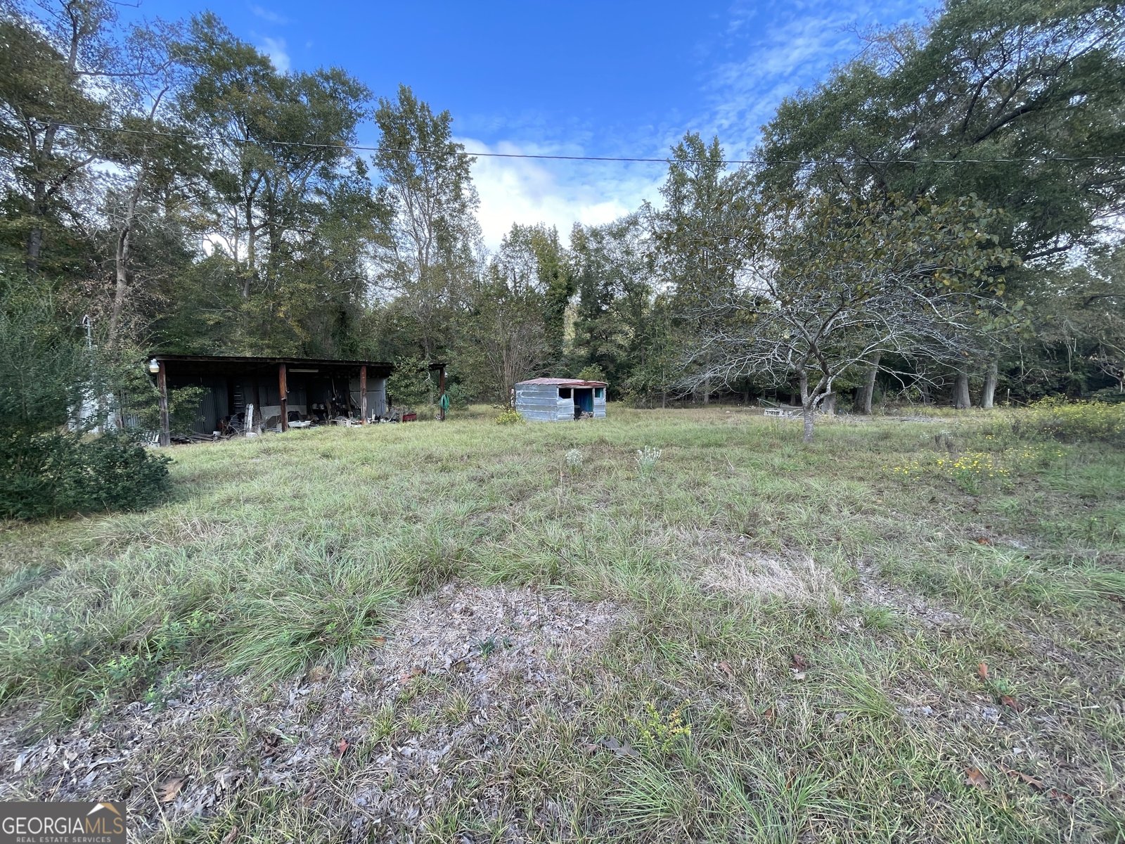 596 Ga Highway 257 Cochran - 36