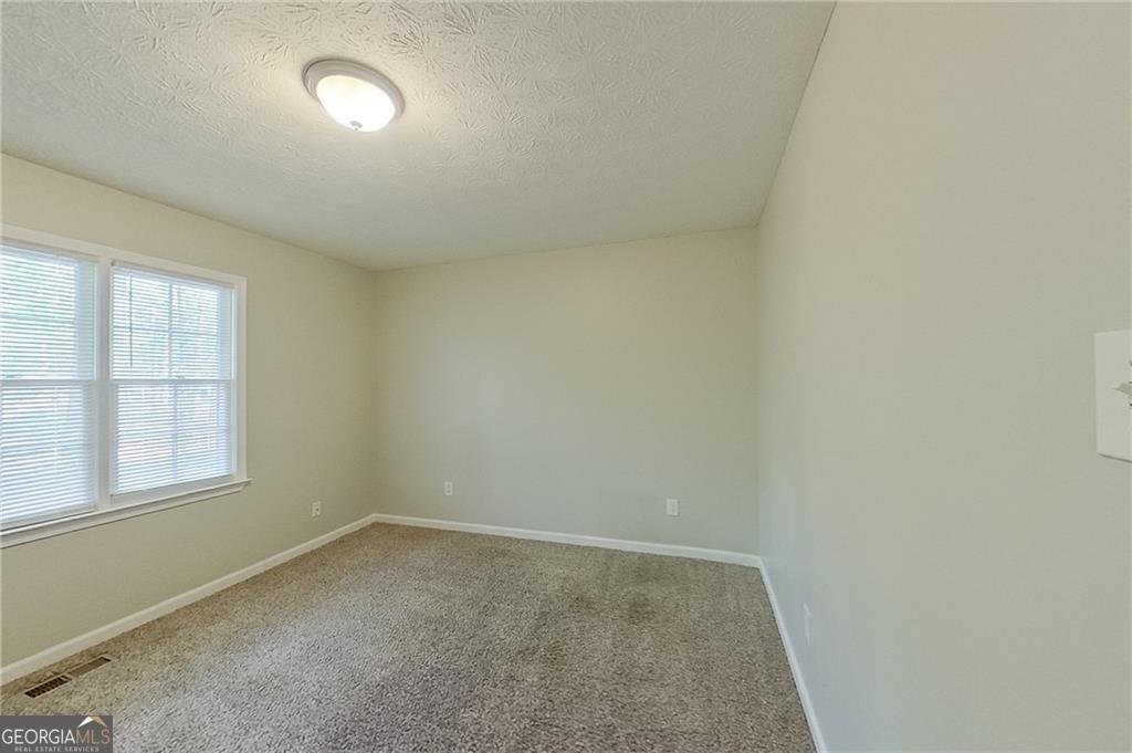 3580 Limberlost Trail Stockbridge - 19