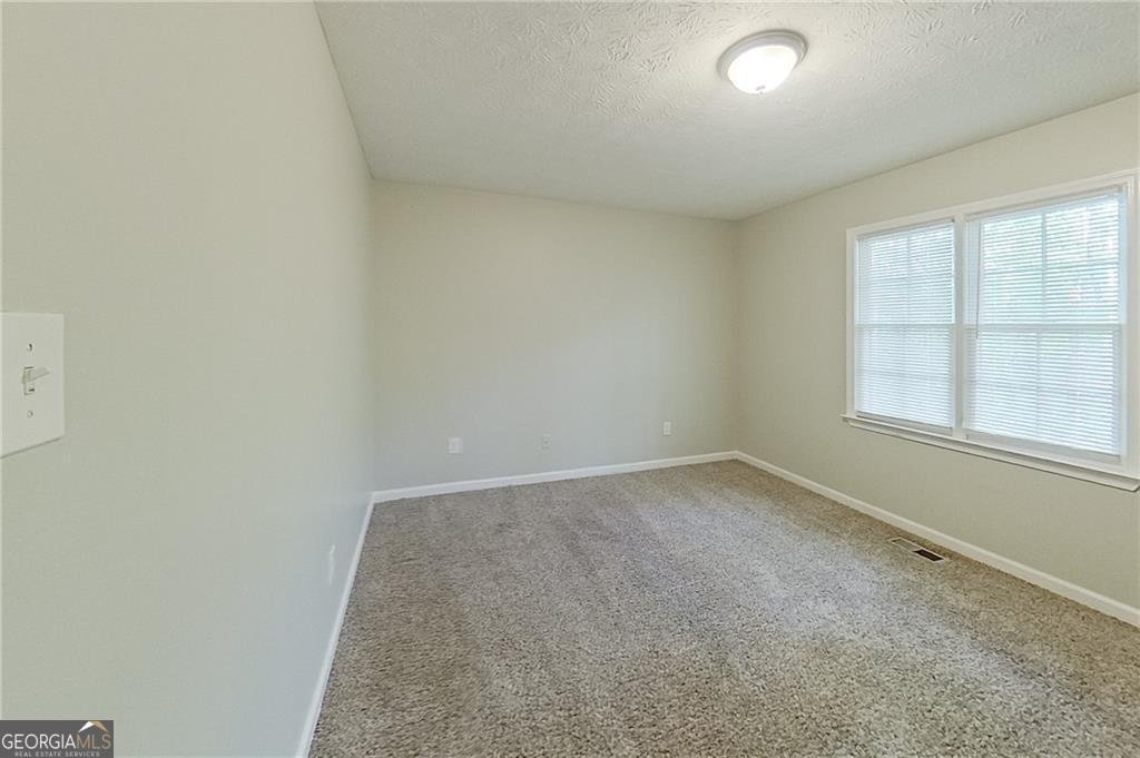 3580 Limberlost Trail Stockbridge - 23