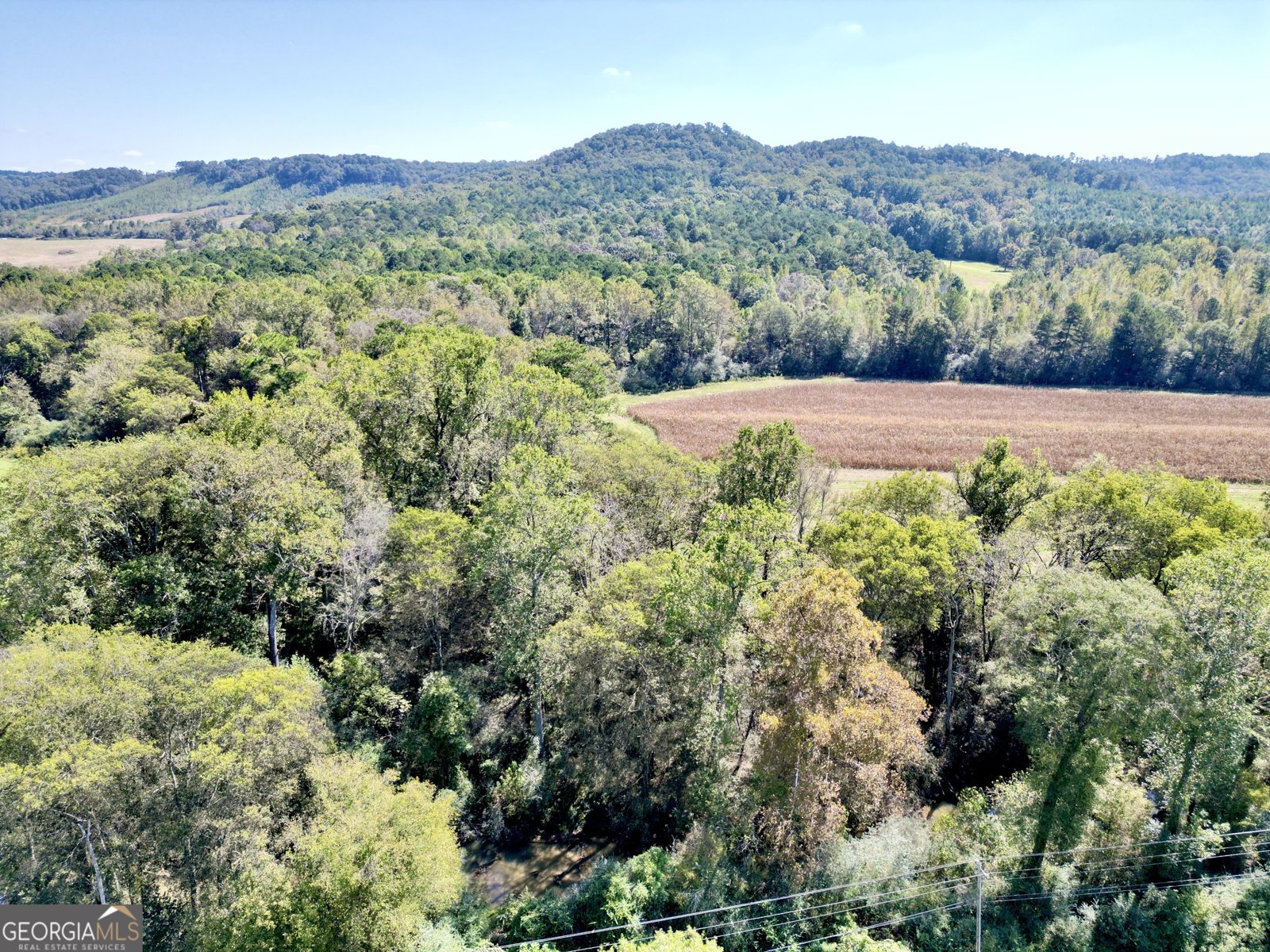 649 Farmersville Road Summerville - 16