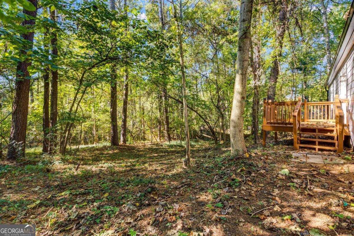 230 Apple Branch Drive Woodstock - 27
