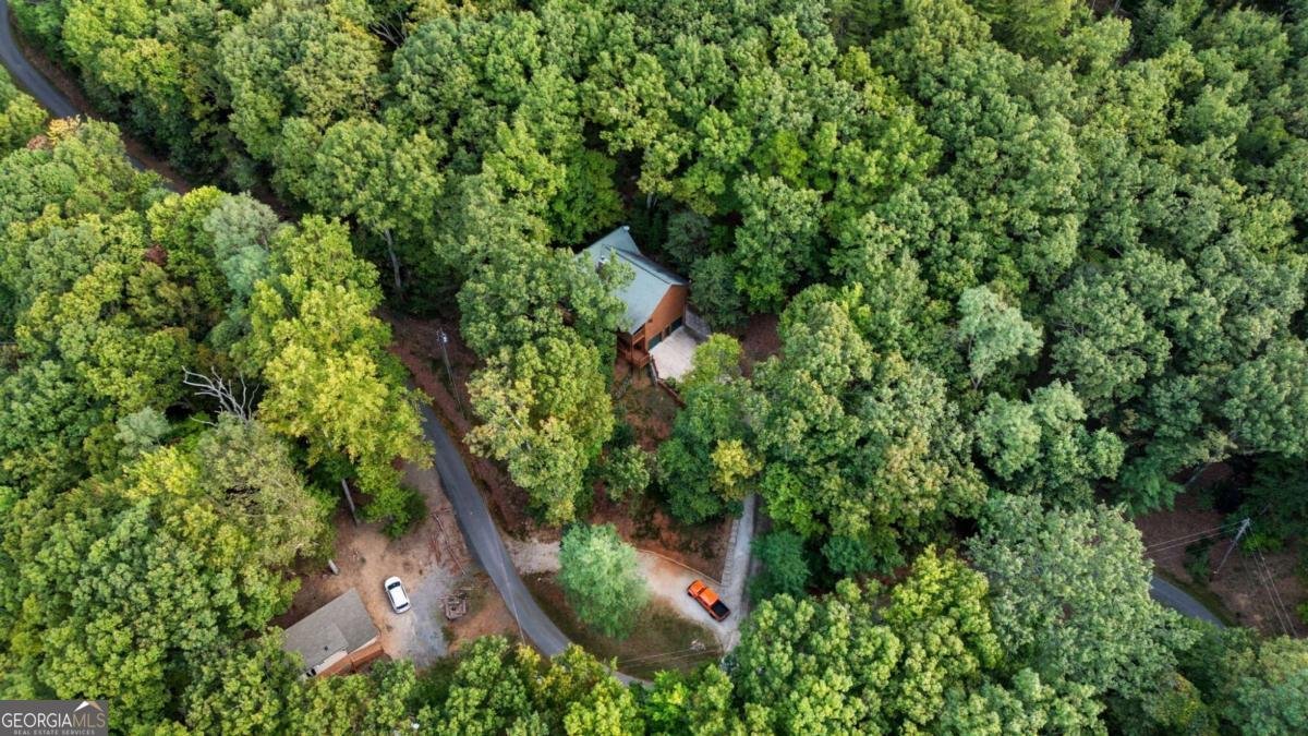 469 Moss Patch Trail Jasper - 41