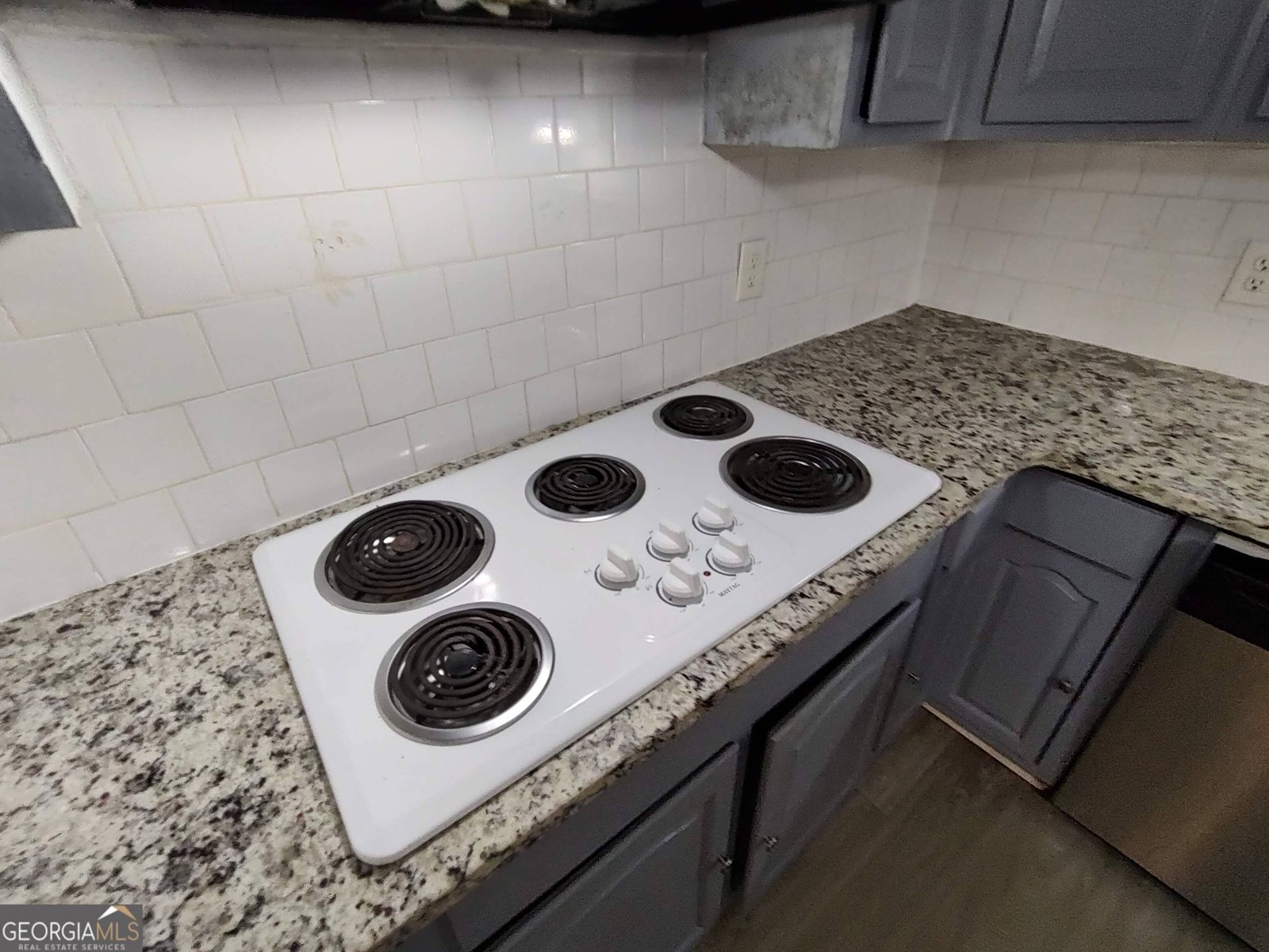 2772 Lake Road McDonough - 4