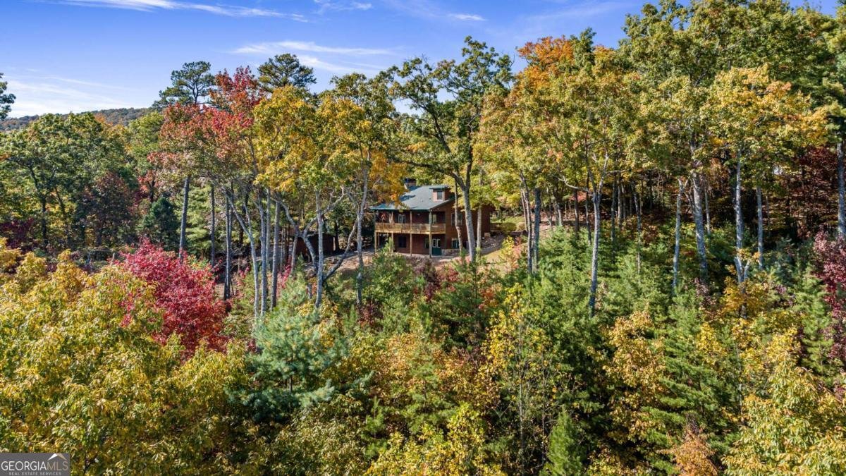 1655 Mangums Trail Blue Ridge - 1