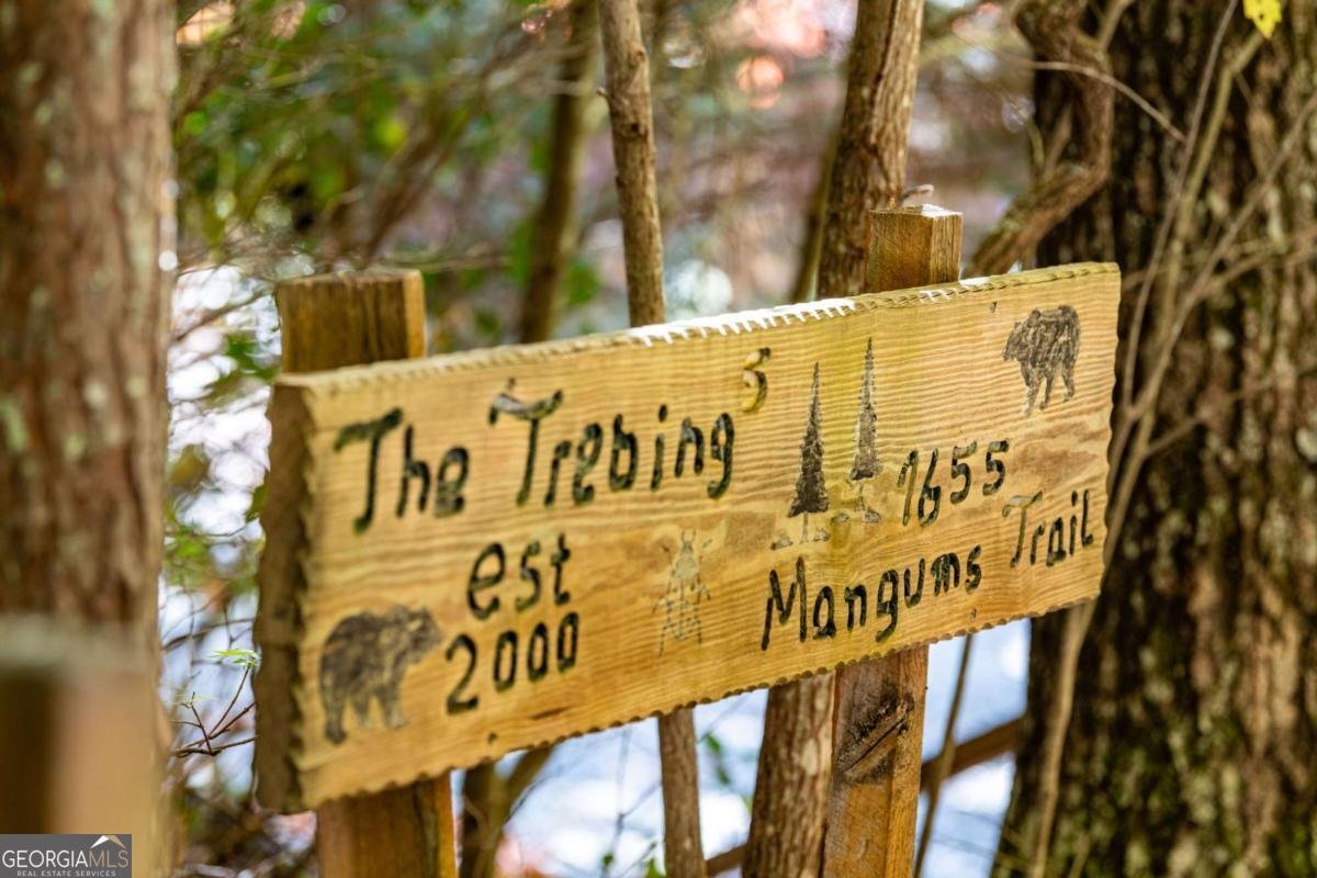 1655 Mangums Trail Blue Ridge - 21