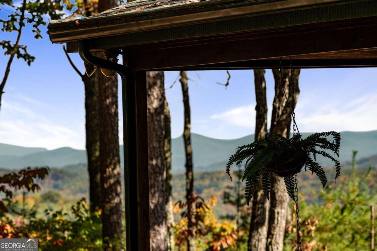 1655 Mangums Trail Blue Ridge - 23