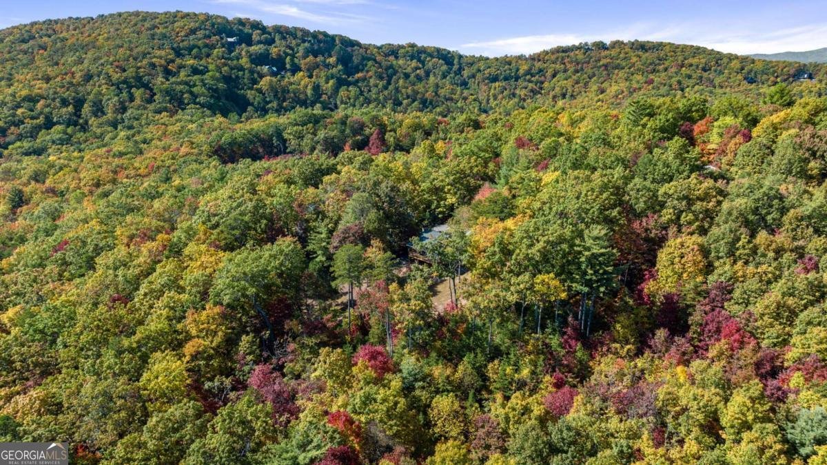 1655 Mangums Trail Blue Ridge - 4