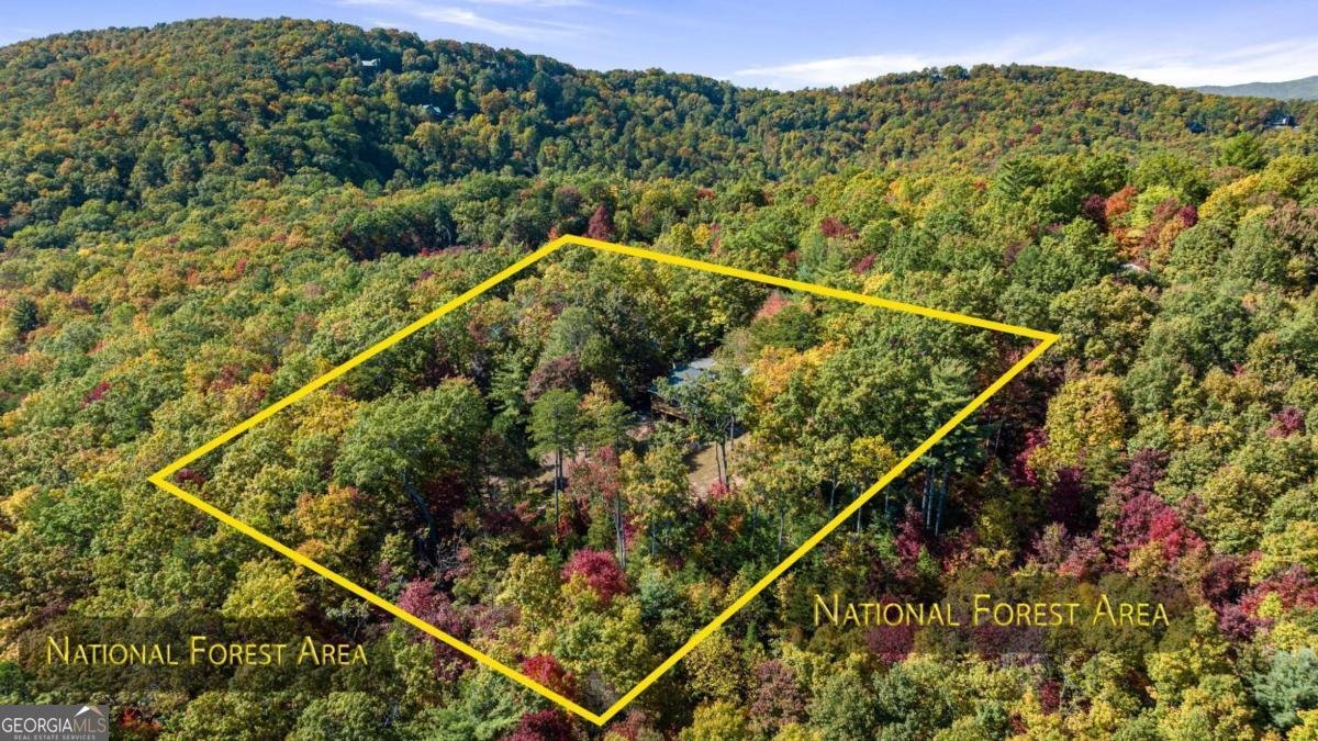 1655 Mangums Trail Blue Ridge - 65