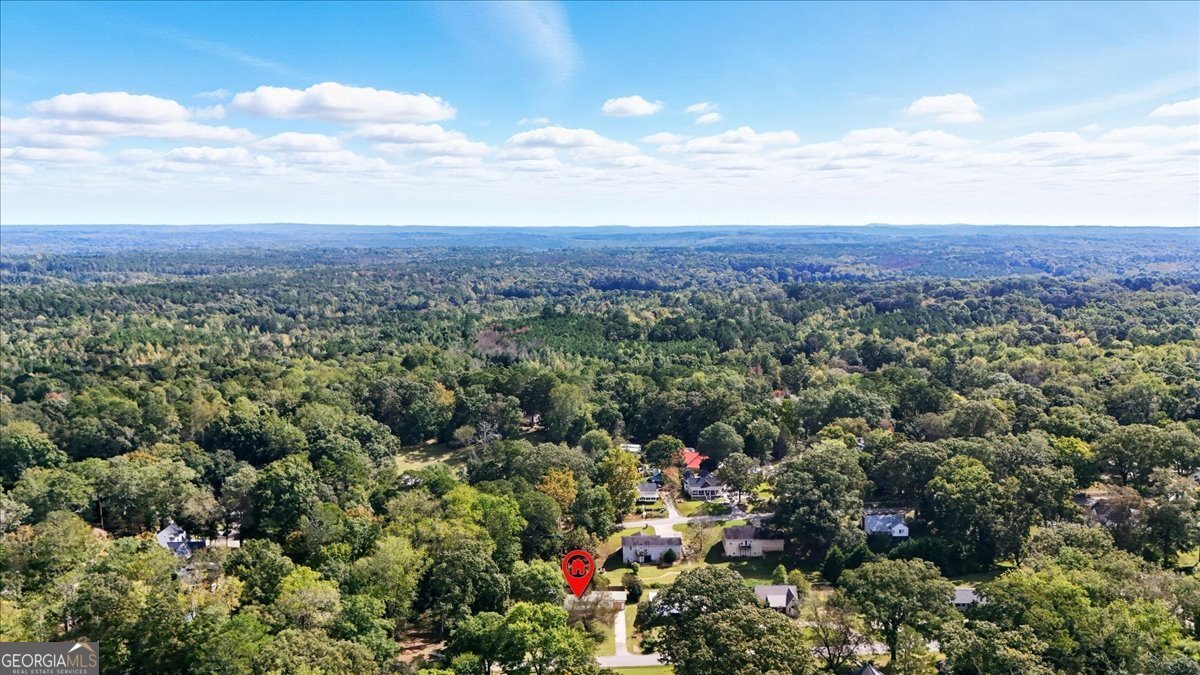 281 Alewine Avenue Tallapoosa - 41