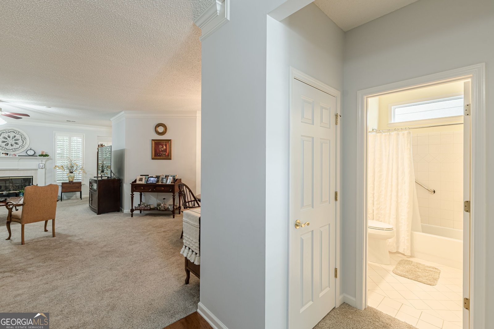 319 Lewisburg Drive Mcdonough - 10