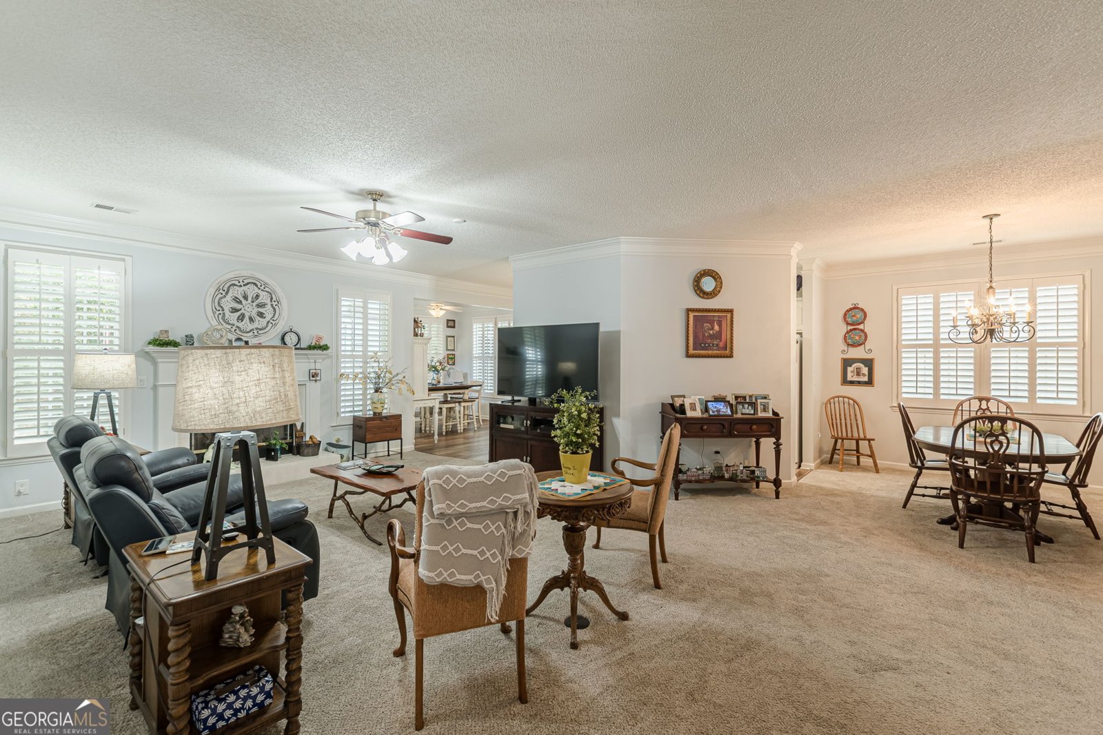 319 Lewisburg Drive Mcdonough - 11