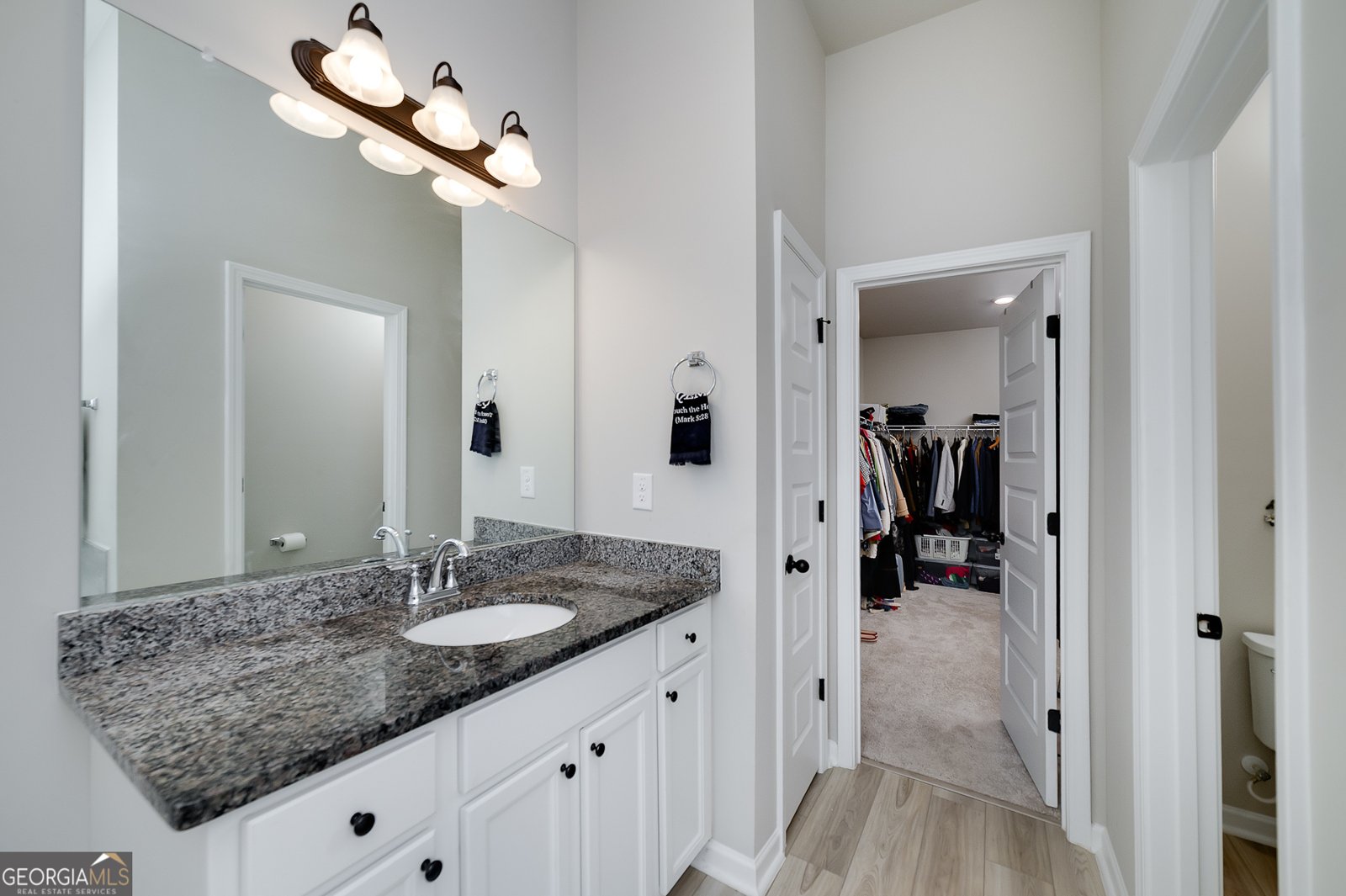 1517 Stinson Lane Locust Grove - 29